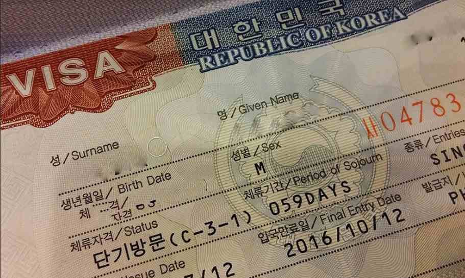 korea tourist visa status check