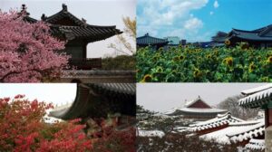 las cuatro estaciones de corea